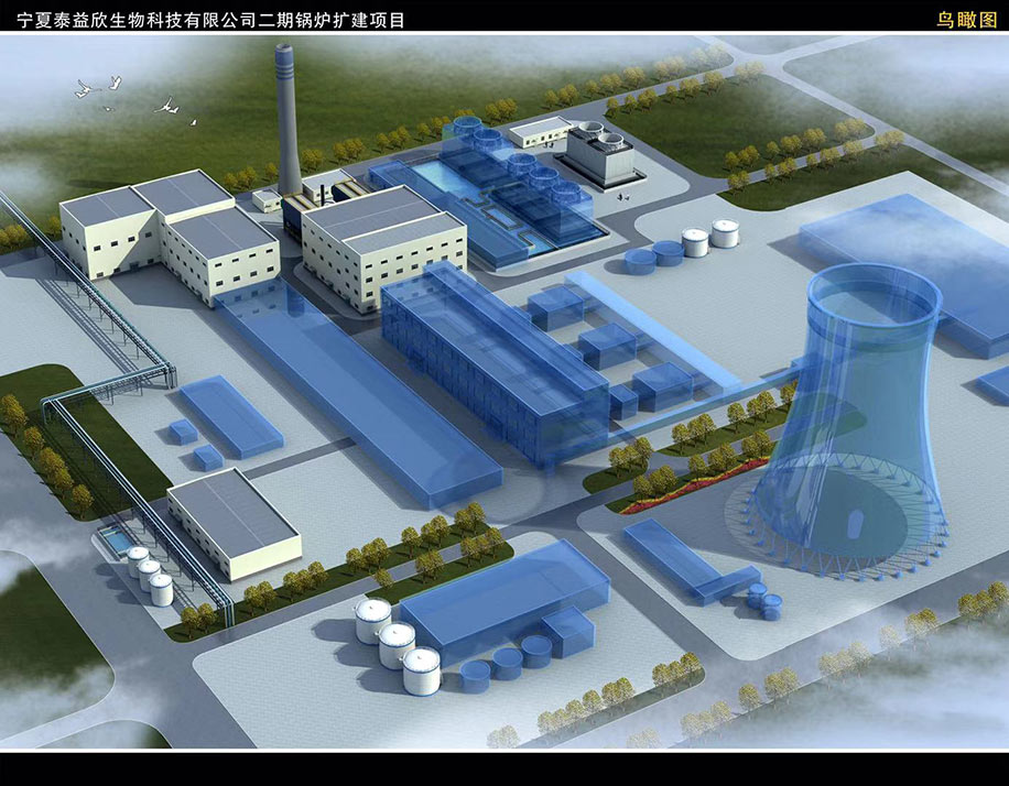 宁夏泰益欣生物科技有限公司二期锅炉扩建项目