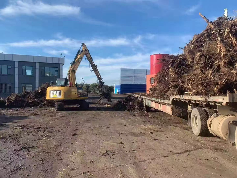 阿荣旗荣嘉新能源科技有限公司1x30MW生物质能热电联产项目